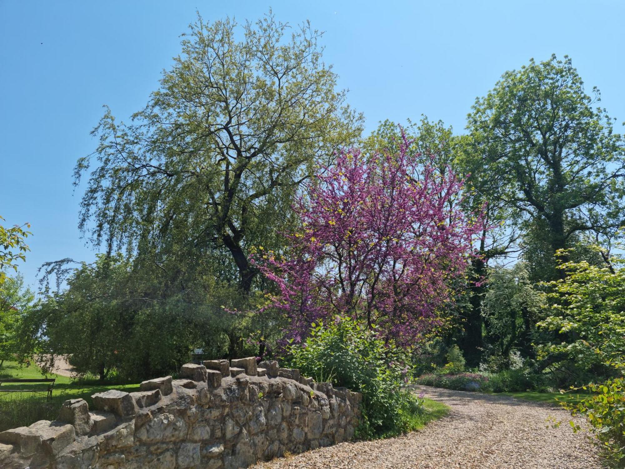 Glyndwr Vineyard Otel Cowbridge Dış mekan fotoğraf